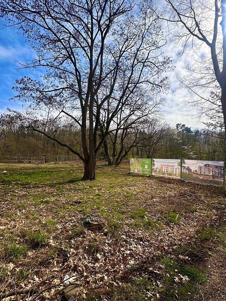 Foto Direkt am Waldrand